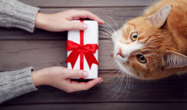 18 Gifts For Cats And Cat Lovers