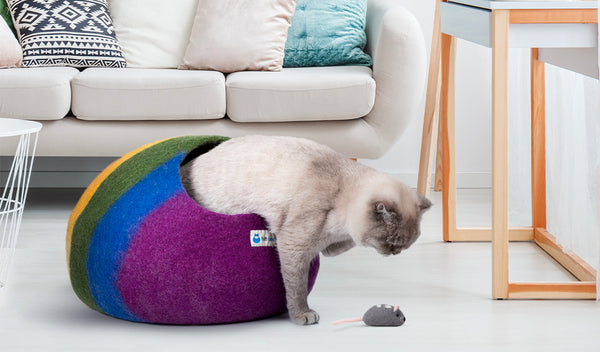 Rainbow cat cave in living room